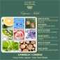 Preview: Acqua di Bolgheri - Cipresso Nobile Duftkerze 200 g
