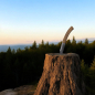 Preview: Edelwild Jagd/- Taschenmesser Anaconda aus Chirurgiestahl (Olivenholz)
