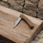 Preview: Edelwild Jagd/- Taschenmesser Anaconda aus Chirurgiestahl (Olivenholz)
