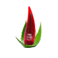 Preview: Softto Plus Aloe Vera Anti-Cellulite Gel Paprica & Chili - 250 ml