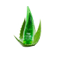 Preview: Softto Plus Aloe Vera Gel Soothing & Moisturizing - 250 ml