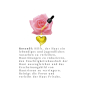 Preview: Softto Plus Rose Skin Care Oil for Face and Body, 100 ml