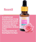 Preview: Softto Plus Rose Oil - 20 ml