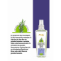 Preview: Softto Plus Rosmarin Tonic - 200 ml