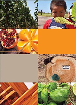 Preview: Teak Schneidebrett, rund (TH303)