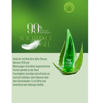 Preview: Softto Plus Aloe Vera Gel Soothing & Moisturizing - 250 ml
